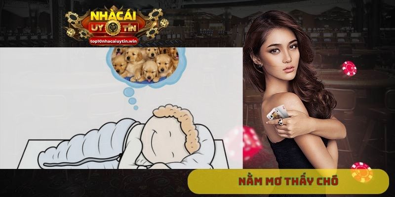 Nằm mơ thấy chó