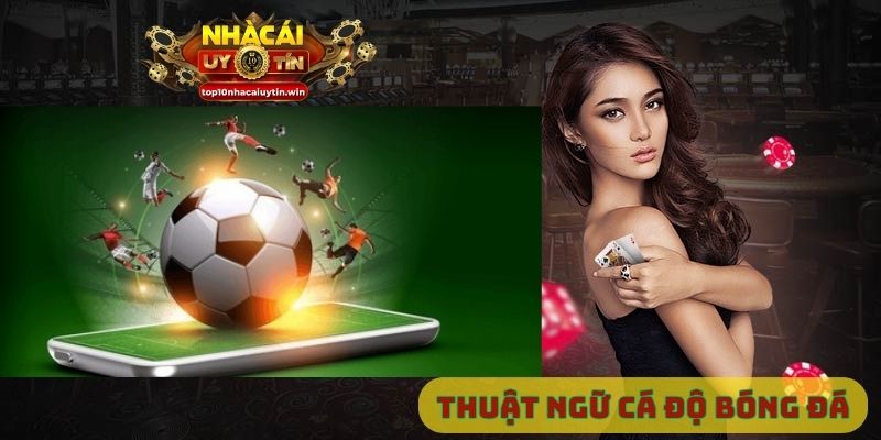 Thuật ngữ cá độ bóng đá